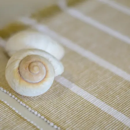 Naxos Bella Vista فيلة