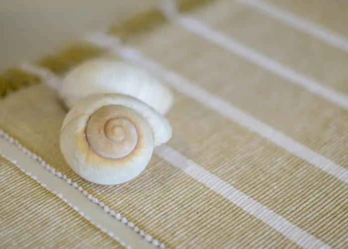 Naxos Bella Vista فيلة